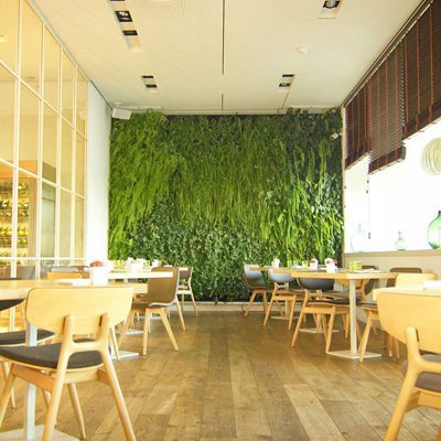 همه چیز در مورد دیوار سبز